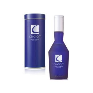 CALDION FOR MEN 100 ml. Купить туалетную воду недорого в интернет-магазине.