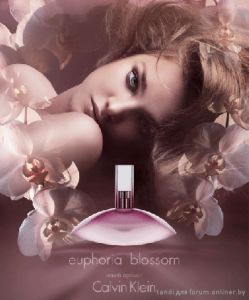 Euphoria Blossom (Calvin Klein) 100ml women. Купить туалетную воду недорого в интернет-магазине.