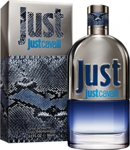 Just Cavalli for Him "Roberto Cavalli" 90ml MEN. Купить туалетную воду недорого в интернет-магазине.